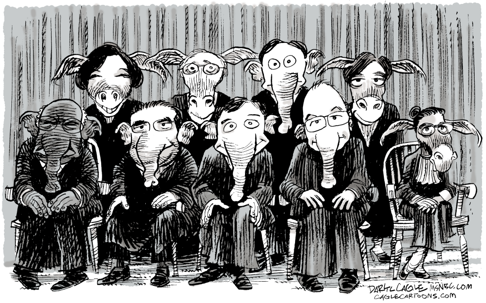 PARTISAN SUPREME COURT by Daryl Cagle