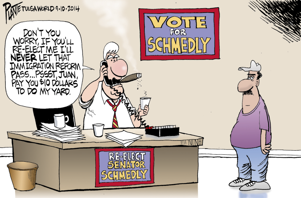 VOTE FOR SCHMEDLY by Bruce Plante