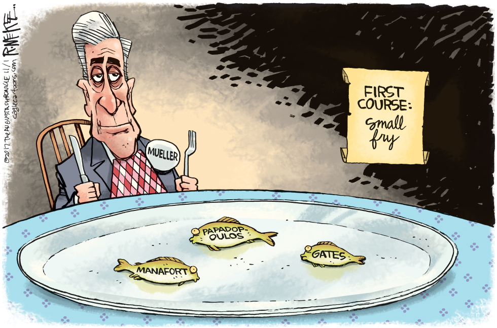 MUELLER SMALL FRY by Rick McKee