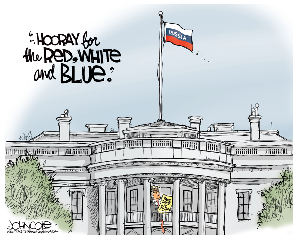 THE NEW RED WHITE AND BLUE by John Cole