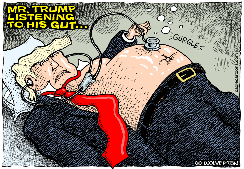 Mr Trump Listening to His Gut by Wolverton