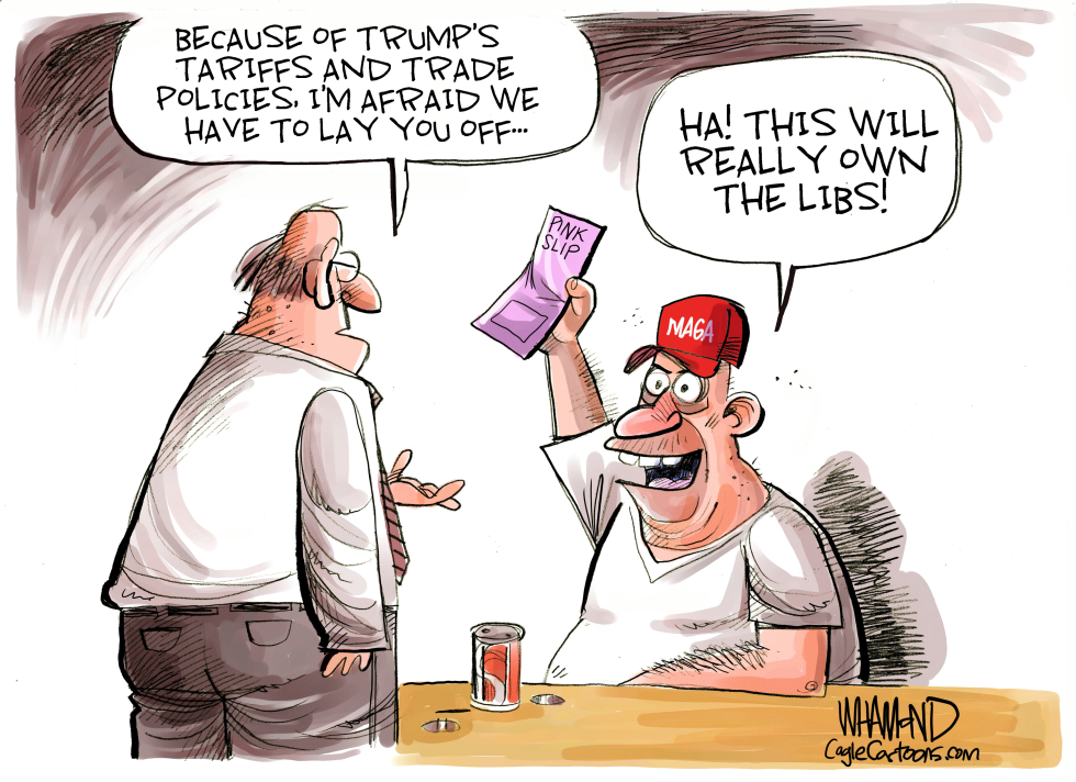 OWNING THE LIBS by Dave Whamond