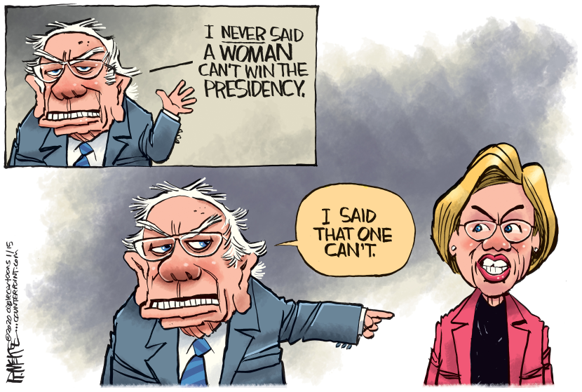 Bernie and Warren by Rick McKee