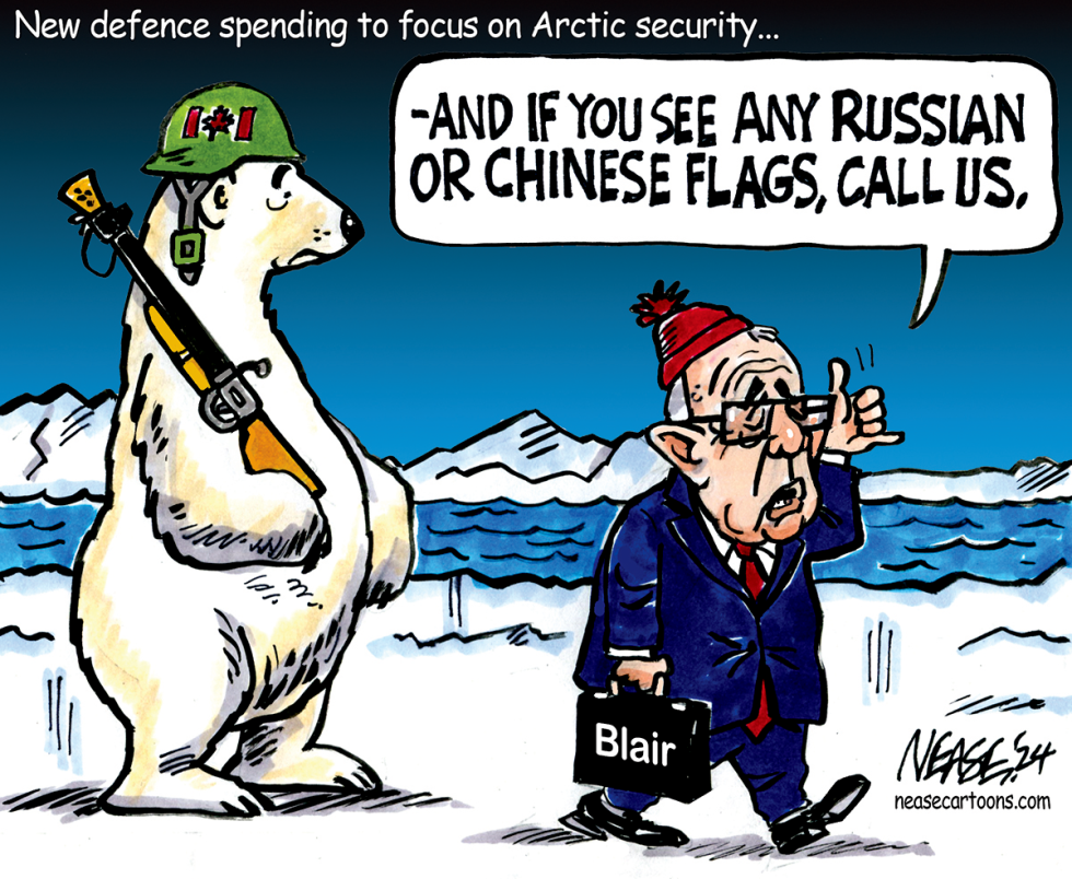 ARCTIC SECURITY by Steve Nease