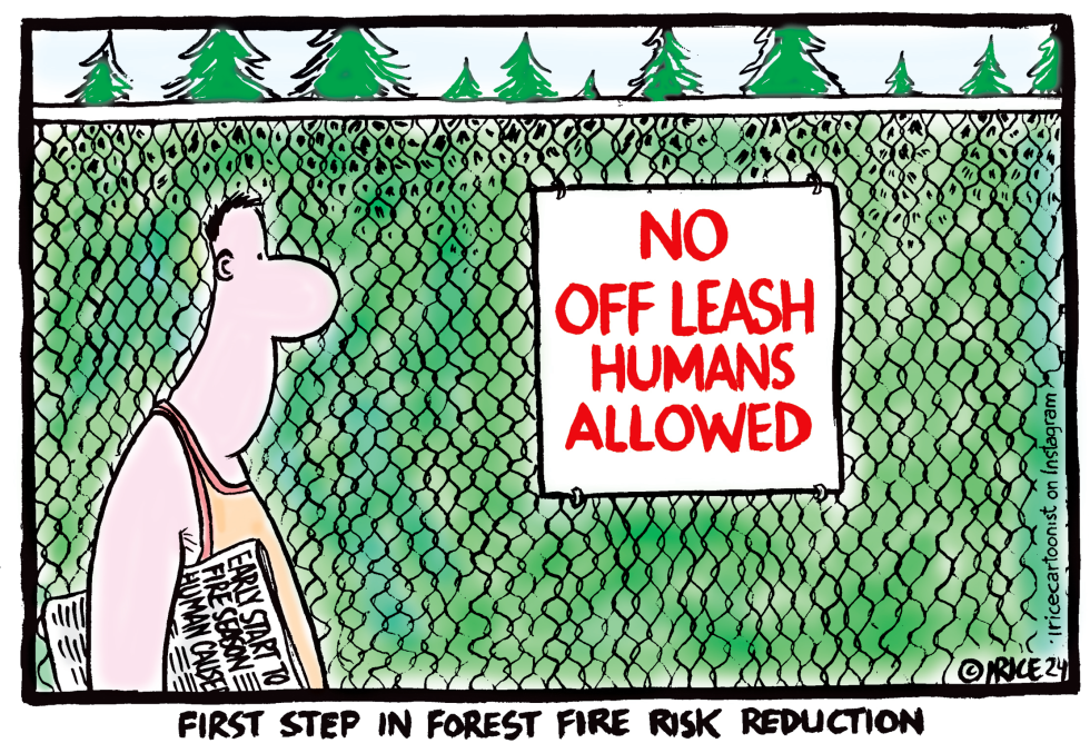 FOREST FIRE RISK REDUCTION by Ingrid Rice