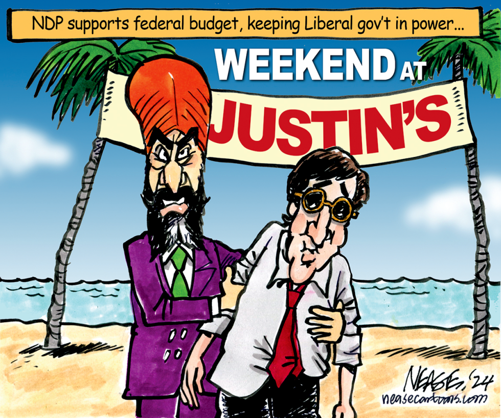 NDP SUPPORT by Steve Nease