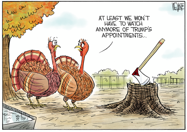 Turkeys Discuss Trump Appointments by Christopher Weyant, CagleCartoons.com