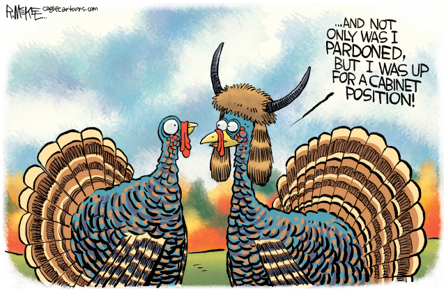 QAnon Shaman Turkey Picked For Trump Cabinet by Rick McKee, CagleCartoons.com