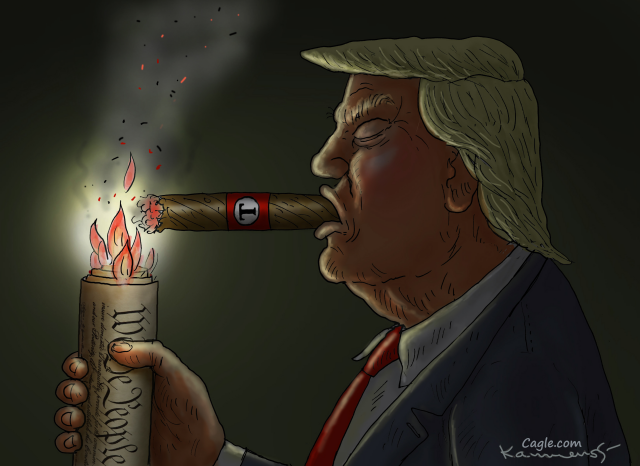 US Constitution by Marian Kamensky, Austria