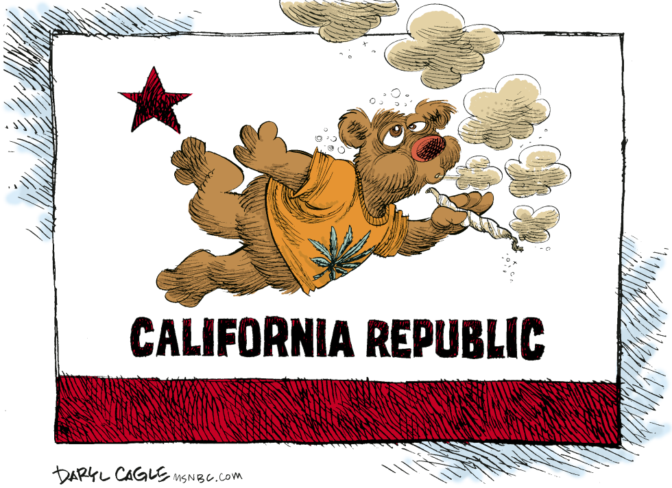 CALIFORNIA MARIJUANA LEGALIZED by Daryl Cagle