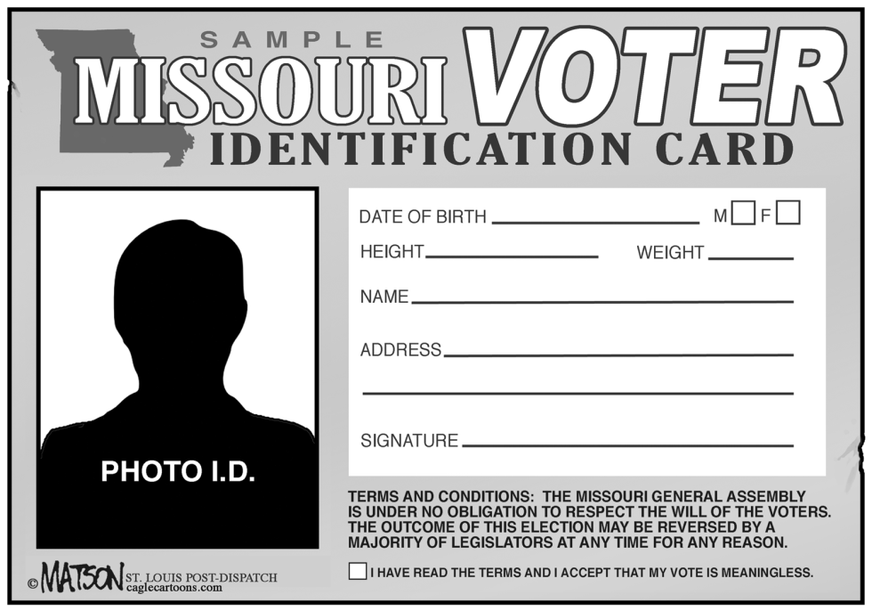 LOCAL MO-SAMPLE VOTER ID CARD by R.J. Matson