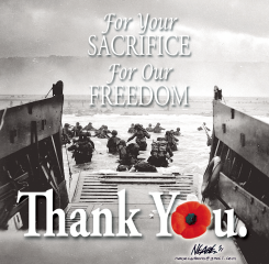 VETERANS DAY by Steve Nease