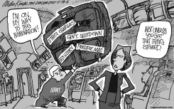 NEWT NOMINATION by Mike Keefe