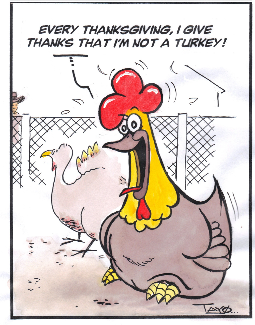 A Turkeys Delight