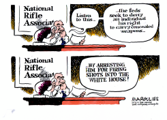 WHITE HOUSE SHOOTING  by Jimmy Margulies