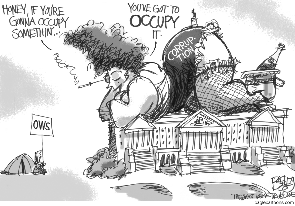 Occupy Congress