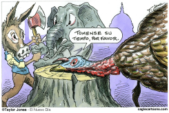 PAVO, ELEFANTE Y BURRO - by Taylor Jones