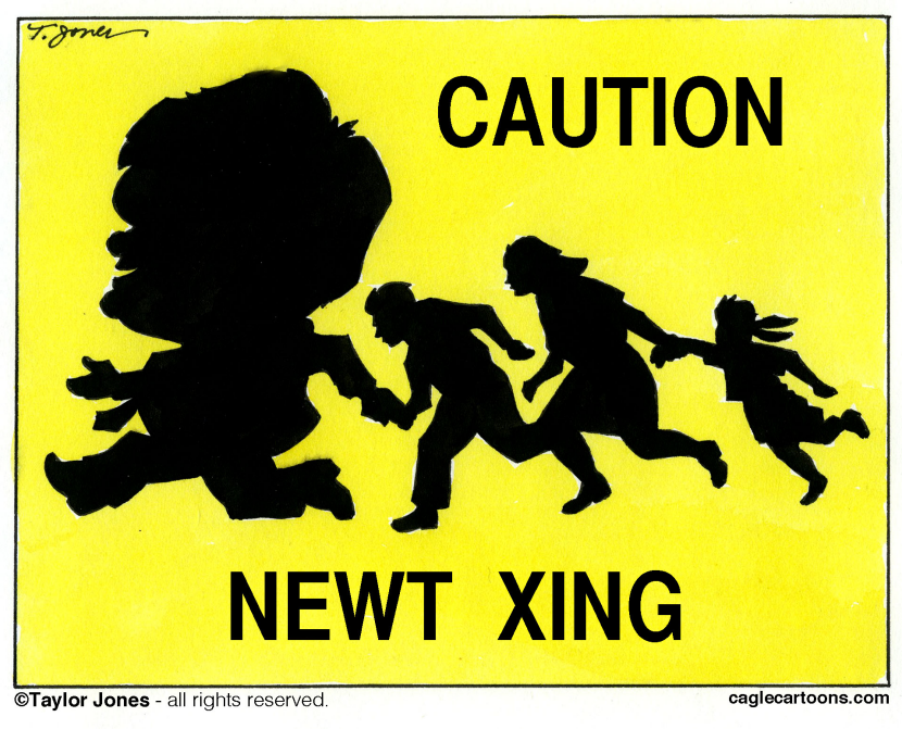 Newt on Immigration - COLOR