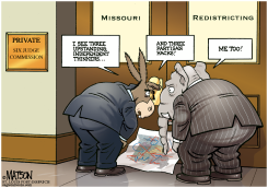 LOCAL MO- REDISTRICTING PANEL by R.J. Matson