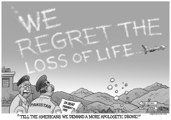 US REGRETS FRIENDLY FIRE DEATHS IN PAKISTAN by R.J. Matson
