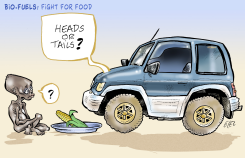 FIGHT FOR FOOD by Damien Glez