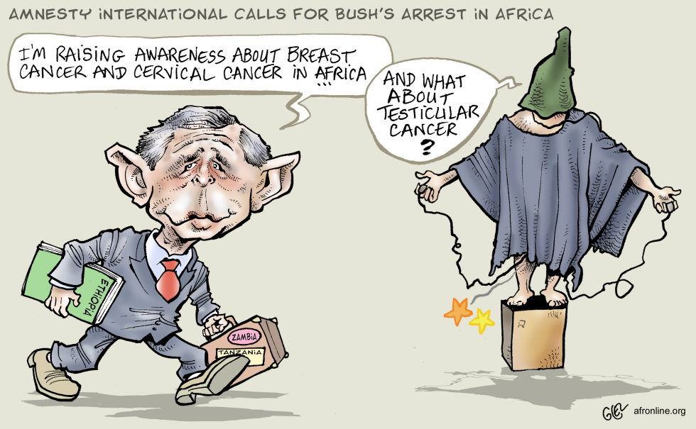 Amnesty Bush