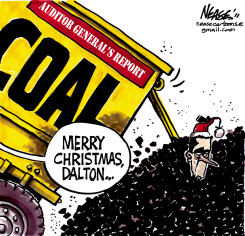 AUDITOR REPORT by Steve Nease