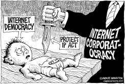 DEATH OF INTERNET DEMOCRACY by Monte Wolverton