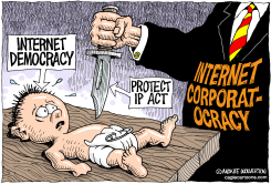 DEATH OF INTERNET DEMOCRACY by Monte Wolverton