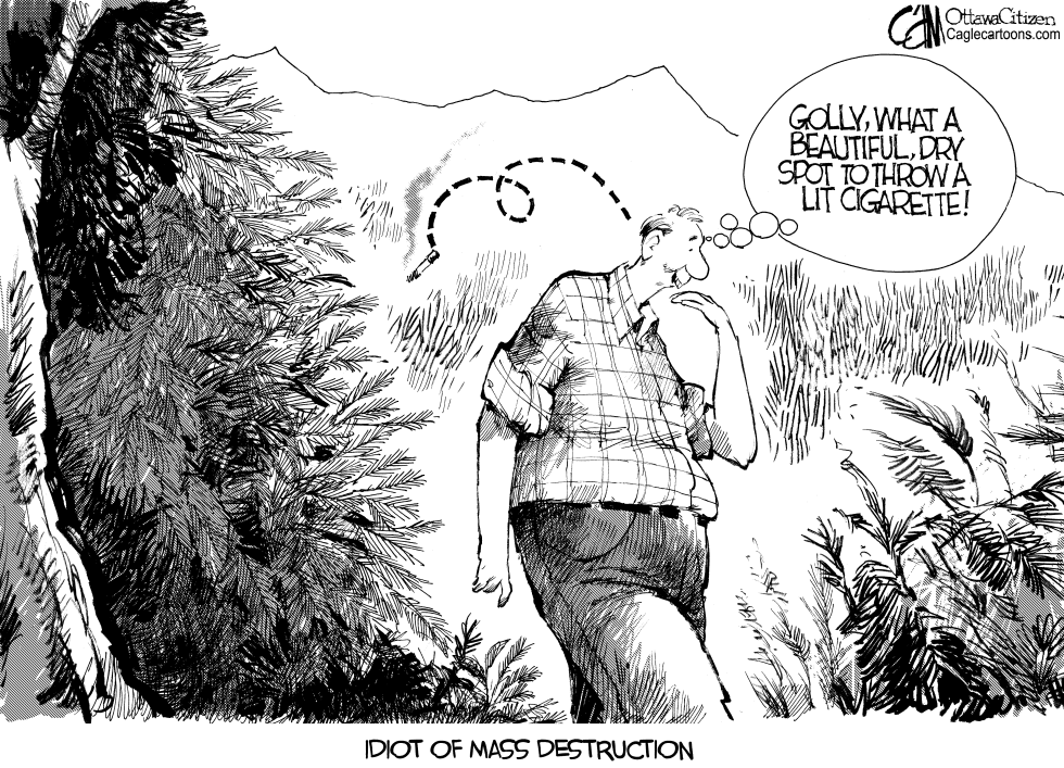 Idiot of Mass Destruction