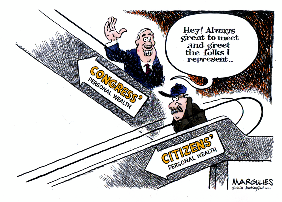 Wealth gap between Congress and citizens color