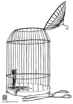 LIBERTAD MUTILADA / by Angel Boligan