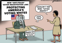 VOTING WHITES by Steve Greenberg