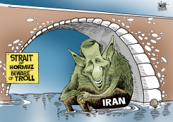 THE THREATENING TROLL OF IRAN, by Randy Bish