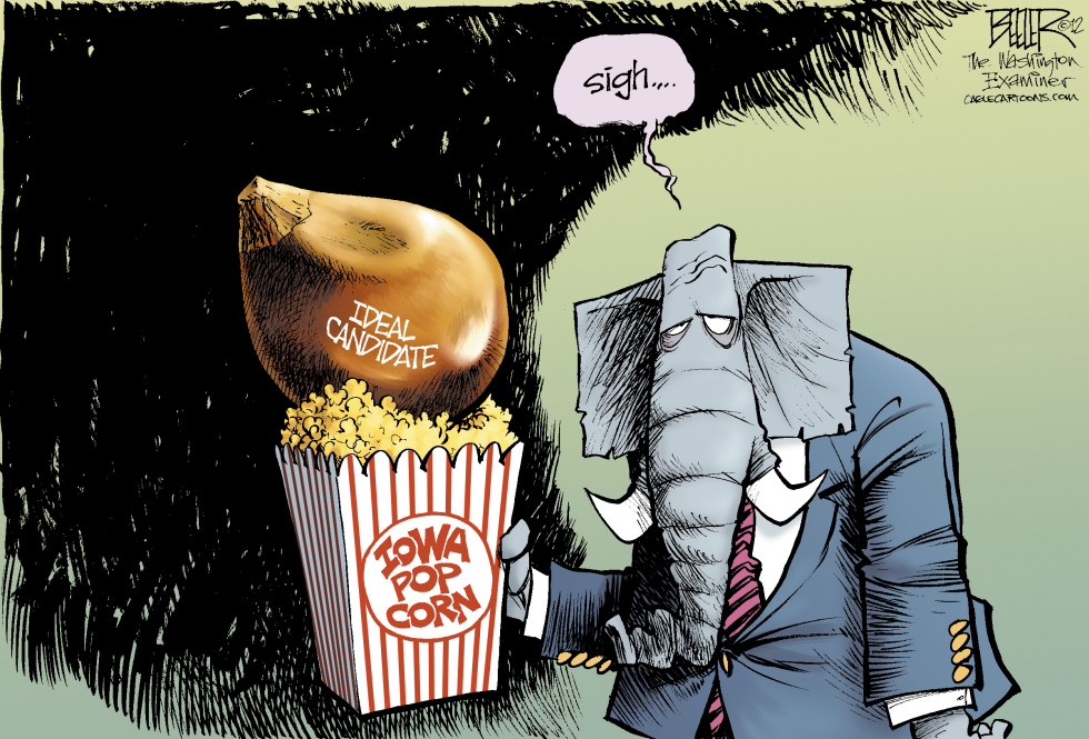 Corny Candidates COLOR