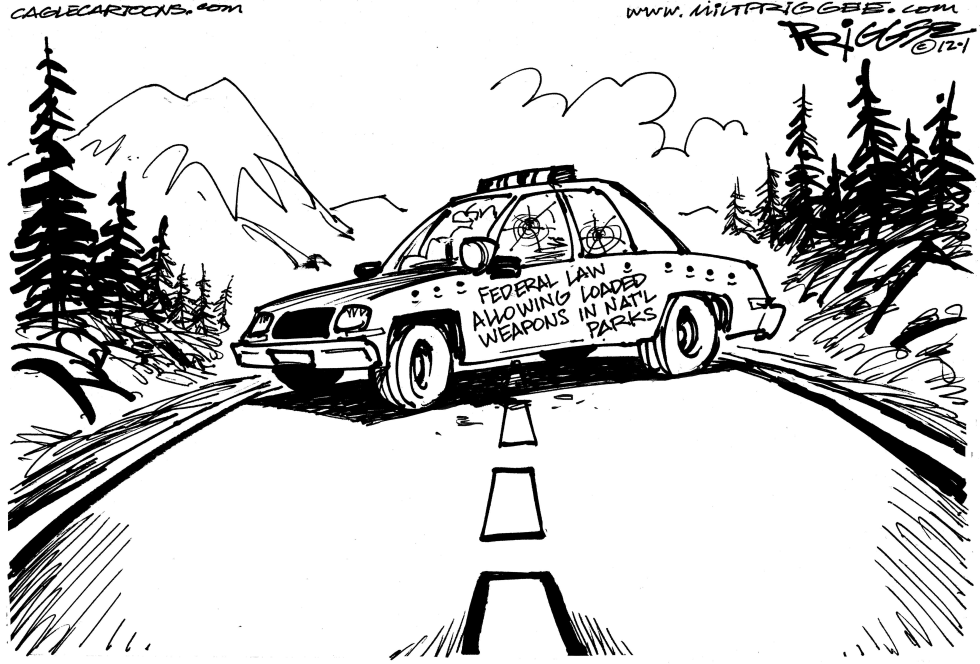Mt Rainier collateral damage