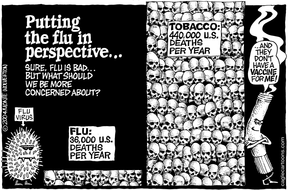  FLU IN PERSPECTIVE by Wolverton