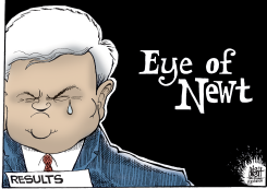 EYE OF NEWT GINGRICH,  by Randy Bish