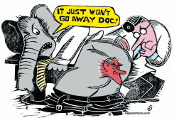 RON PAUL SURGES  by Randall Enos