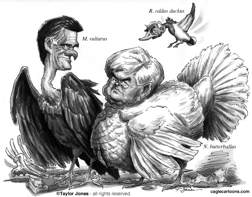 Capitalist Birds
