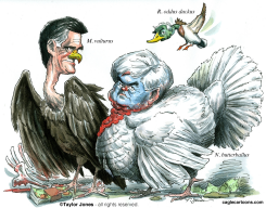 CAPITALIST BIRDS - by Taylor Jones