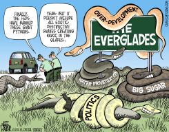 LOCAL FL SNAKES ON A GLADE by Jeff Parker