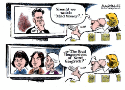 MITTS WEALTH AND NEWTS WIVES by Jimmy Margulies