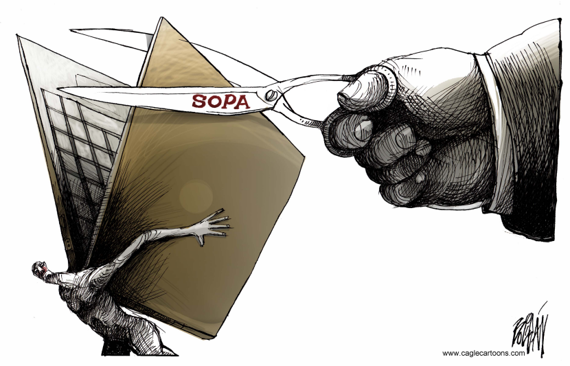 Ley sopa / COLOR