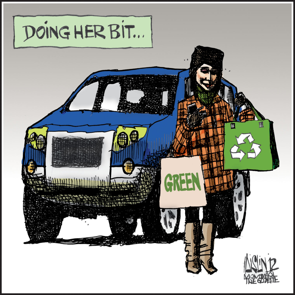 Reusable shopping bags