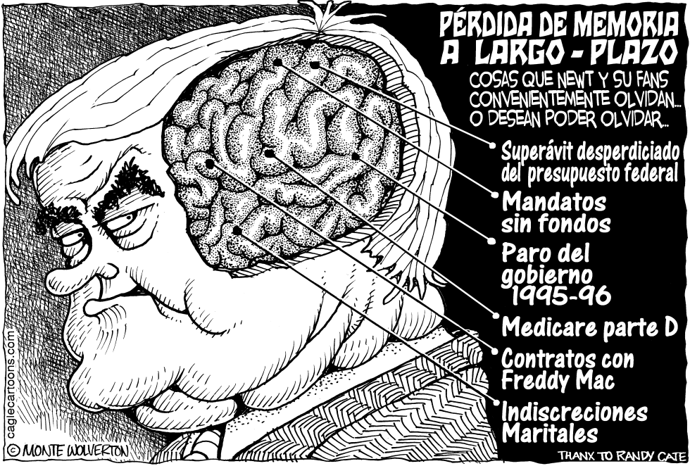 Perdida de la Memoria a Largo-Plazo de Newt