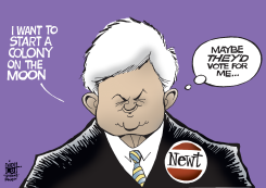NEWT ON THE MOON,  by Randy Bish
