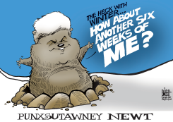 PUNXSY NEWT,  by Randy Bish