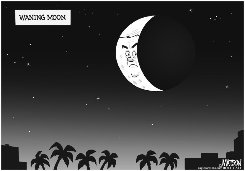 Waning Moon Gingrich
