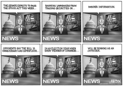 THE STOCK ACT by R.J. Matson